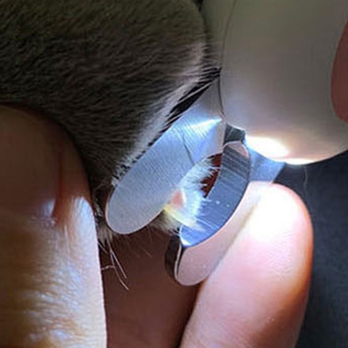 강아지 고양이 혈관 비춰주는 안전 LED 발톱깎이 튐방지 네일파일, 1개, 핑크