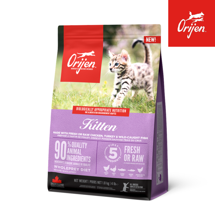 사은품증정오리젠 키튼 애기 고양이 건식사료