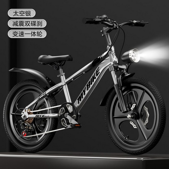 스로틀 pas 자토바이 48V 전기자전거 신형 배달 1000W 20AH 블랙