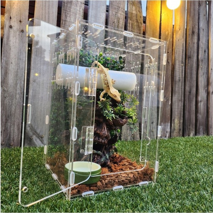 크레스티드 게코 사육장 도마뱀 파충류 은신처