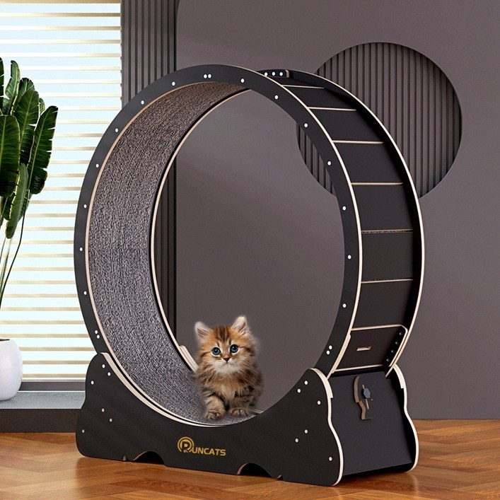 고양이캣휠 런캐츠 캣휠 무소음 캣휠 고양이 운동 기재 고양이 캣휠 국내배송 XL 지름 113CM, 블랙