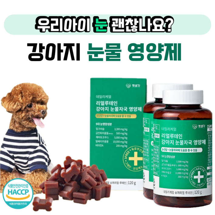 펫생각 강아지 눈 영양제 눈건강 눈물자국 백내장 녹내장 예방