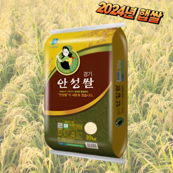 경기도 안성쌀 추정미 2024 찰지고 맛있는 햅쌀