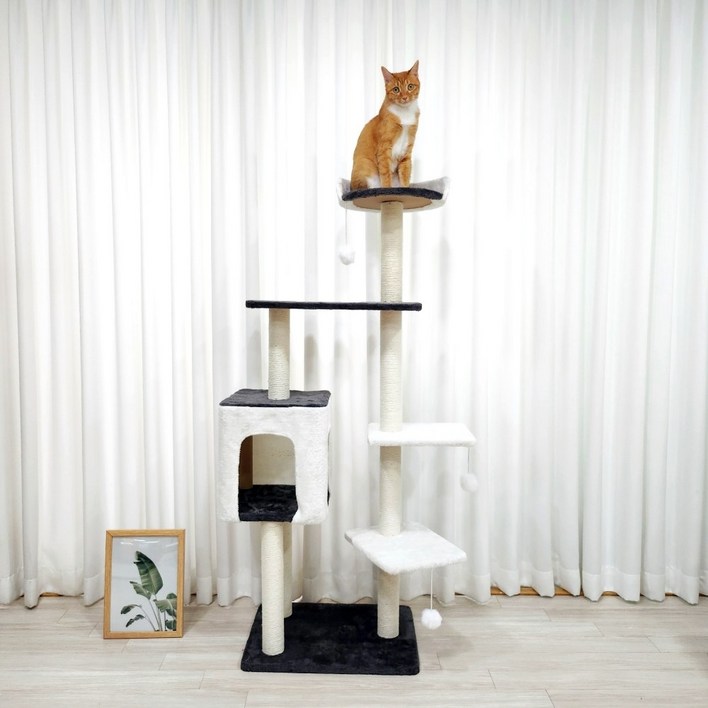 [펫카]애묘 고양이 스크래쳐 캣타워 캣폴 PTWT-04, 1개 고양이벽타워