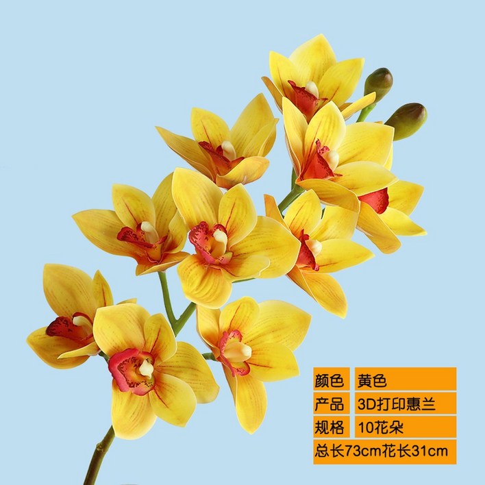 가벼운 촉감 보습 10 40g 오브 오드퍼퓸 본품 175ml 오르페옹 휴대용 27G2