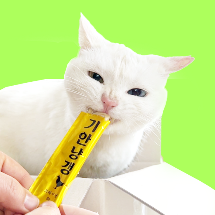 기안84가 선택한 프리미엄 고양이 닭가슴살 영양 간식 기안냥갱