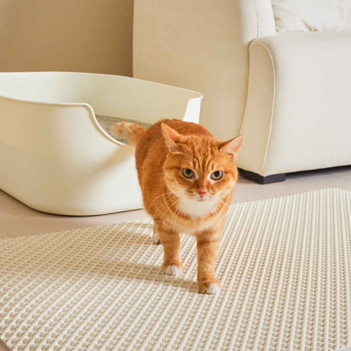 3651 이지클린 고양이 화장실 모래매트 특대형, 크림치즈 모래매트