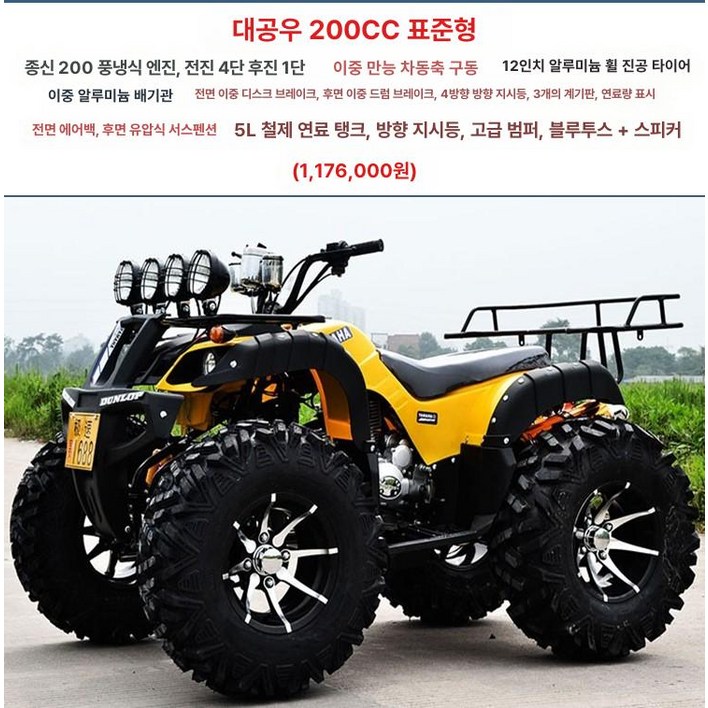 4륜구동 오토바이 짐 가솔린 운반차 오프로드 모험, 기본 색상, 빅불 200 스탠다드 에디션