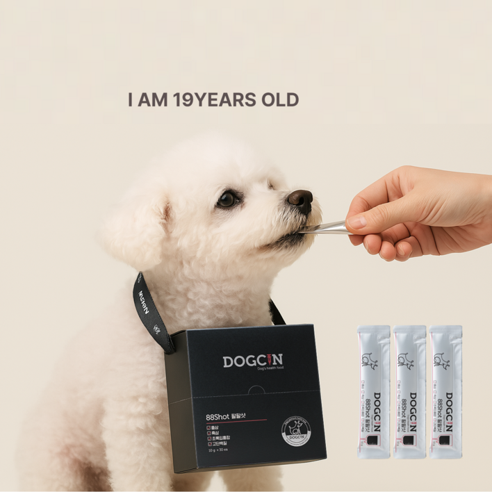 [홍삼+흑삼] 독신 88SHOT 팔팔샷 시니어 영양제 노견 노령견 장수견 만들기, 10g, 30개, 면역/항산화
