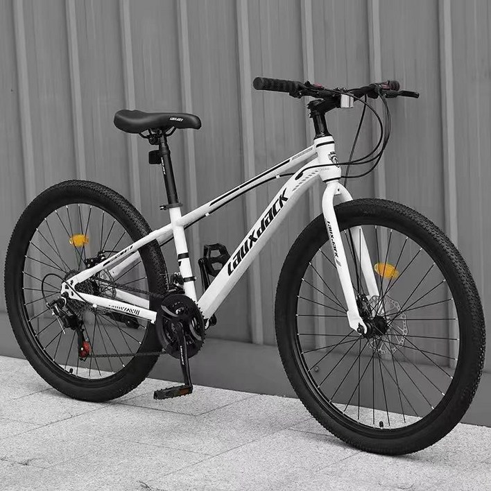 트랙 자전거 로드 mtb 하이브리드 입문용 스캇
