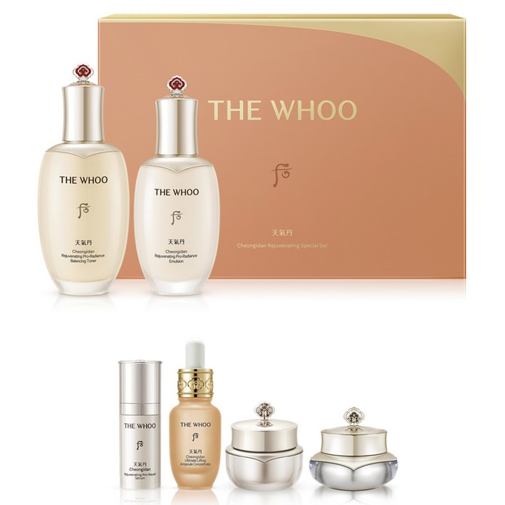 더후 천기단 화현 6종 세트