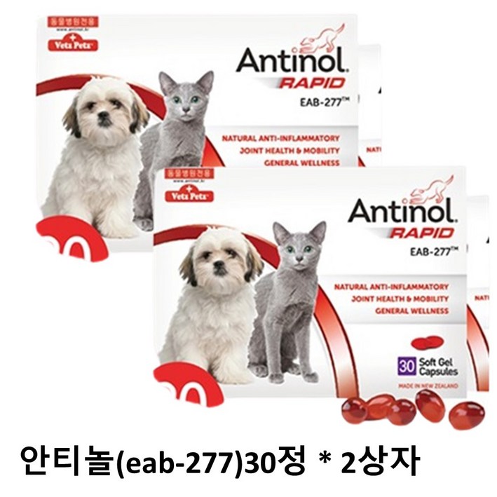 안티놀 래피드 240정