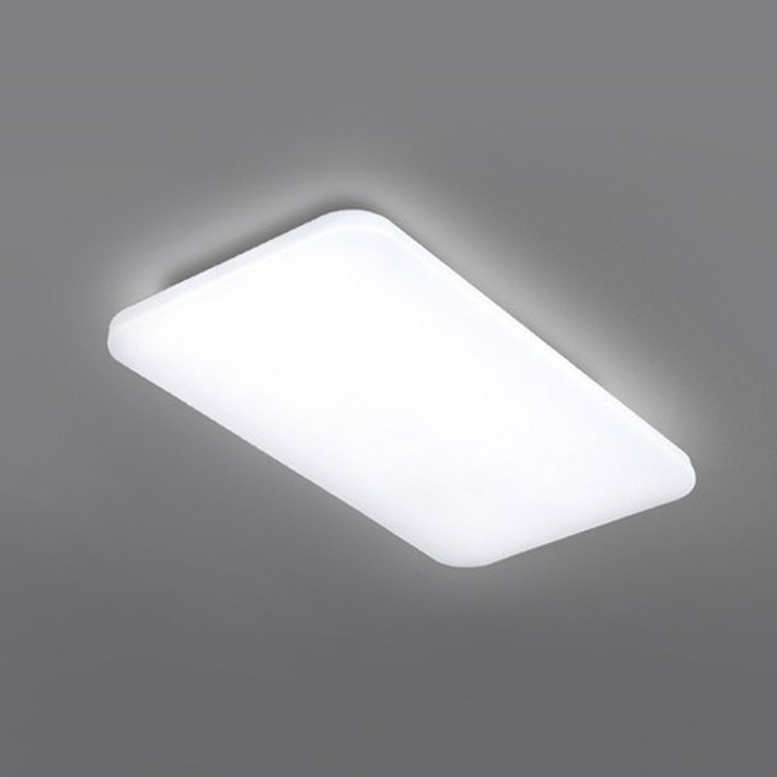 멜리빙 LED 삼성칩 에어 거실2등 조명 60W, 화이트  주광색