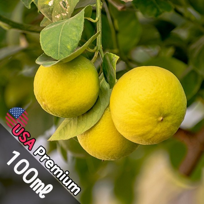 B047 나시블라썸 100ml Nashi Blossome 프래그런스오일  캔들 디퓨저 향수