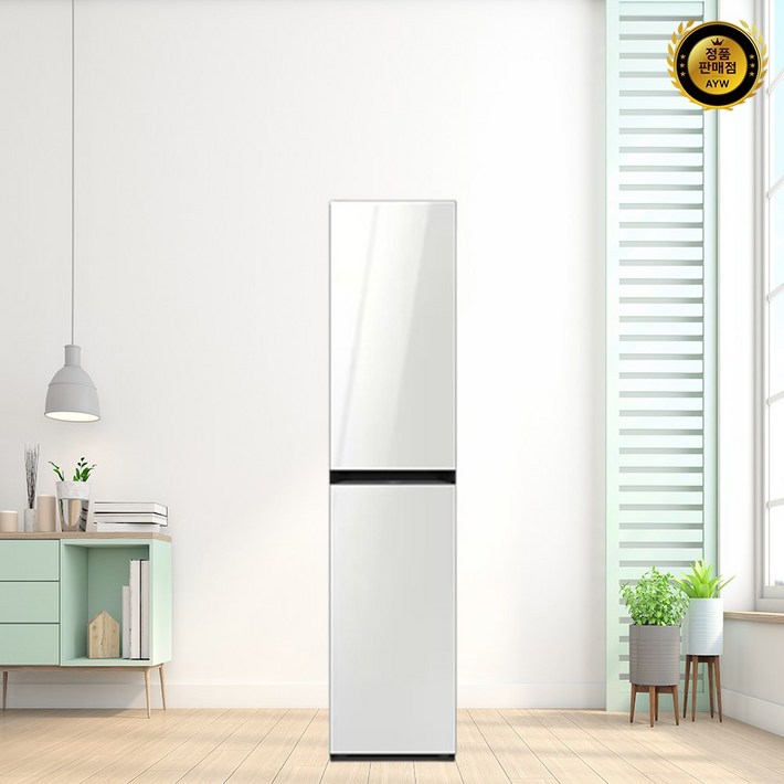 삼성전자 비스포크 에어드레서 DF18CB8600WR 방문설치