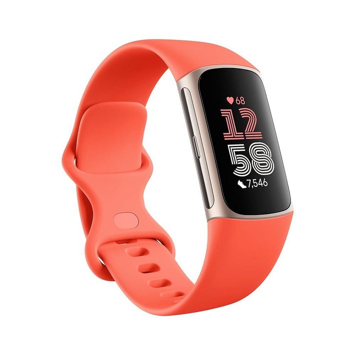 Fitbit 구글 앱이 포함된 핏비트 차지 6 피트니스트러커 운동 기구 심박수 6개월 프리미엄 멤버십 포함 GPS 헬스 도구 등 코랄라이트 골드 원 사이즈SL 밴드 Fitbit 구글 앱이 포함된 핏비트 차지 6 피트니스트러커 운동 기구 심박수 6개월 프리미엄 멤버십 포함 GPS 헬스 도구 등 코랄라이트 골드 원 사이즈SL 밴드