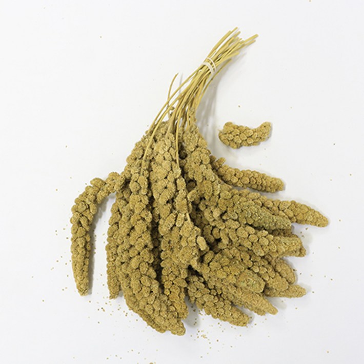 스프레이 밀렛 500g 앵무새 간식, 500g, 1개