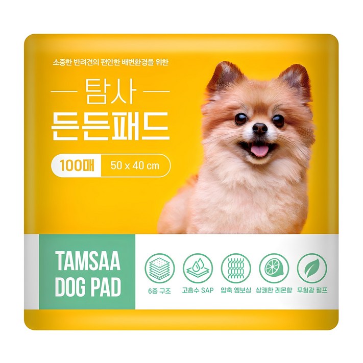 탐사 고흡수 든든패드 레몬향, 100개입, 1개 탐사 고흡수 든든패드 레몬향, 100개입, 1개