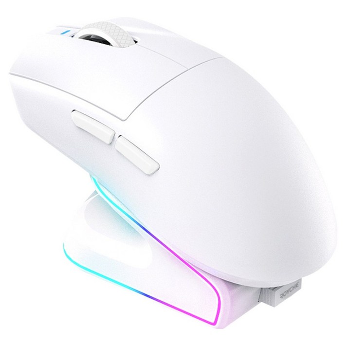 로이체 충전독  RGB 게이밍 무선 마우스 세트 RDMG510 WH