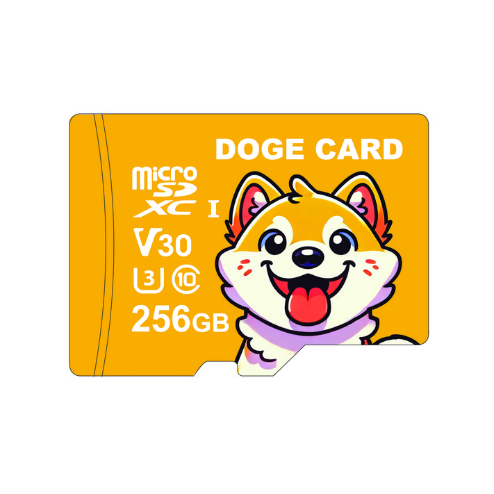 도지카드 마이크로 SD카드 UHSI 블랙박스 전용 메모리카드, 1개, 256GB