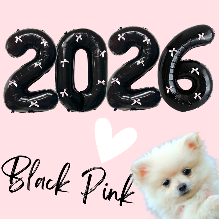 파티룰루 블랙핑크 숫자풍선 리본 대형 생일, 1개, 2026 세트