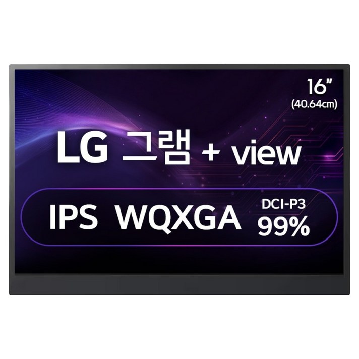 LG전자 WQXGA 그램 View 모니터