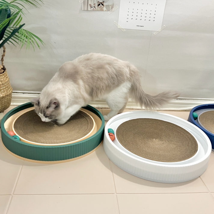 PETCA 대형 리필 트랙볼 고양이스크래쳐 평판형 장난감 45cm
