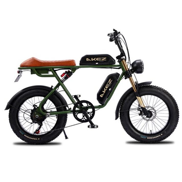 전기자전거 배달 PAS 자토바이 출퇴근 Akez 팻 타이어 모터 산악용 오프로드 내구성 클래식 하이 퀄리티 20 인치 750W, 2 Green Double Battery  7