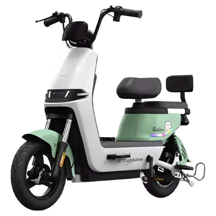 WINda 출퇴근 통학 경량 전기 자전거 스틸 전동 스쿠터 자토바이 팻바이크 48v