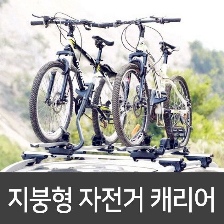자전거 지붕형 캐리어, 1개 자전거 지붕형 캐리어, 1개