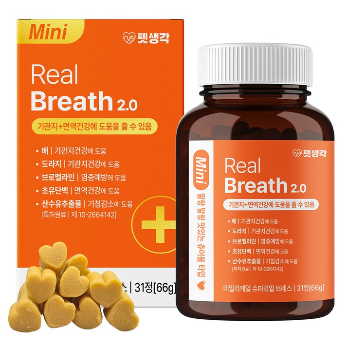 펫생각 강아지 데일리케얼 영양제, 31정, 호흡기/기관지, 1개