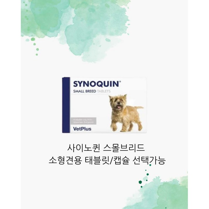 벳플러스 vetplus 시노퀸 사이노퀸 스몰 브리드 소형견 90 태블릿캡슐 반려견 관절 건강 영양제