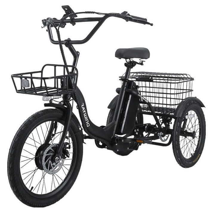 레이윙 삼성셀 배터리 캐리 이지 삼륜 전기자전거 20Ah 고객직접설치, 팬텀 블랙, 스틸