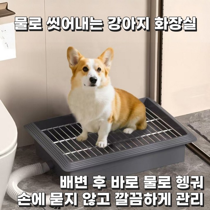코코 강아지 배변판 반려견 화장실 배수형 물세척 가능 실내 배변훈련 소형견 중형견 배변판