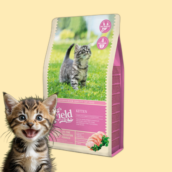샘스필드 고양이 키튼용 건식사료, 1개, 7.5kg