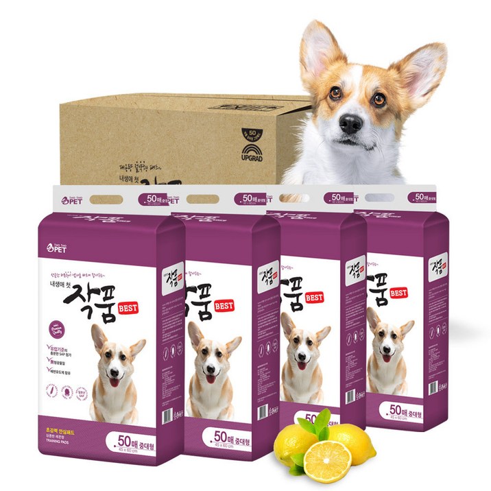 작품패드 중대형 베스트 50매 x4개 강아지 배변 패드 논슬립 배변 유도 애견패드 45x60cm