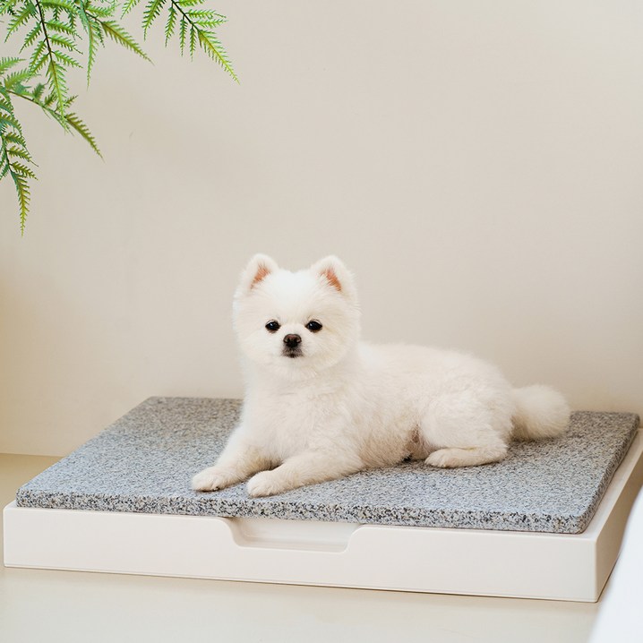 도그아이 반려동물 프레임  대리석 쿨매트 세트