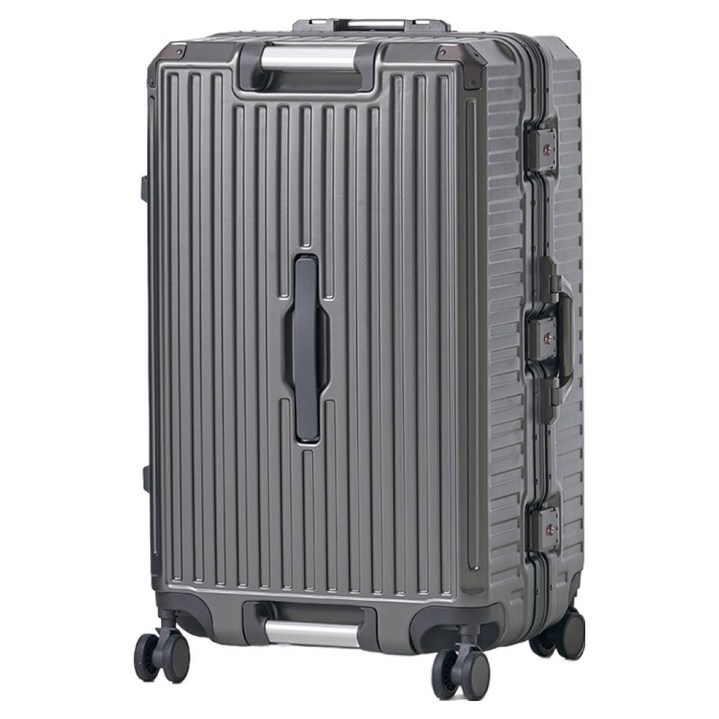 앙뜨레 덱스터 메탈프레임 PC 캐리어 25인치, 29인치