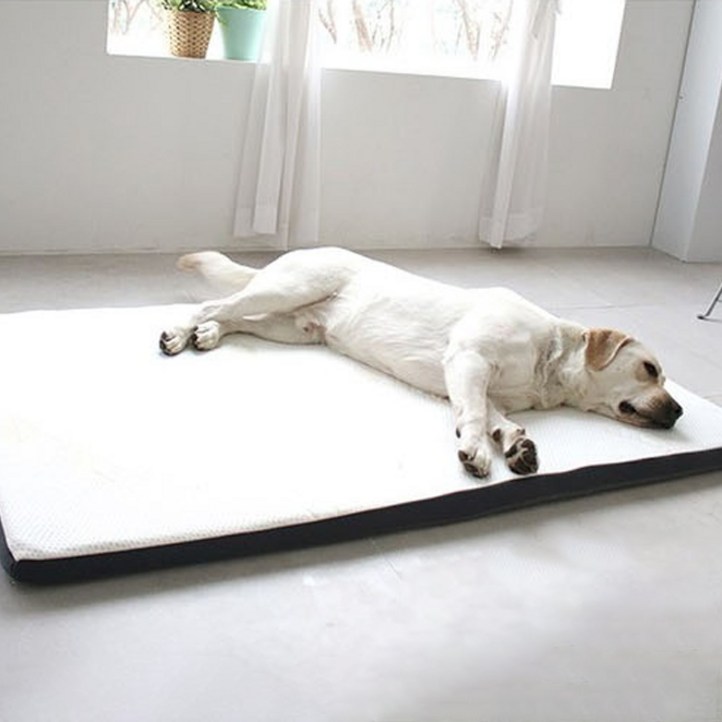 중대형견 기능성 사이언스 매트리스 침대