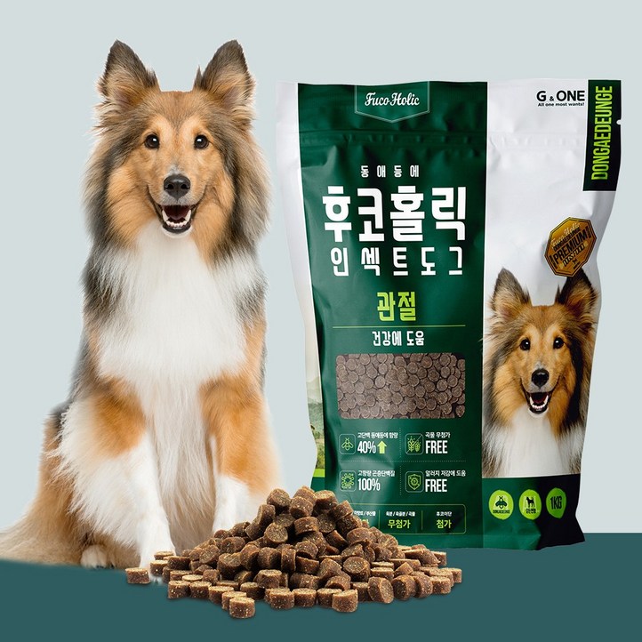 후코홀릭 인섹트도그 하이포알러제닉 반습식 강아지 사료, 1개, 2.4kg