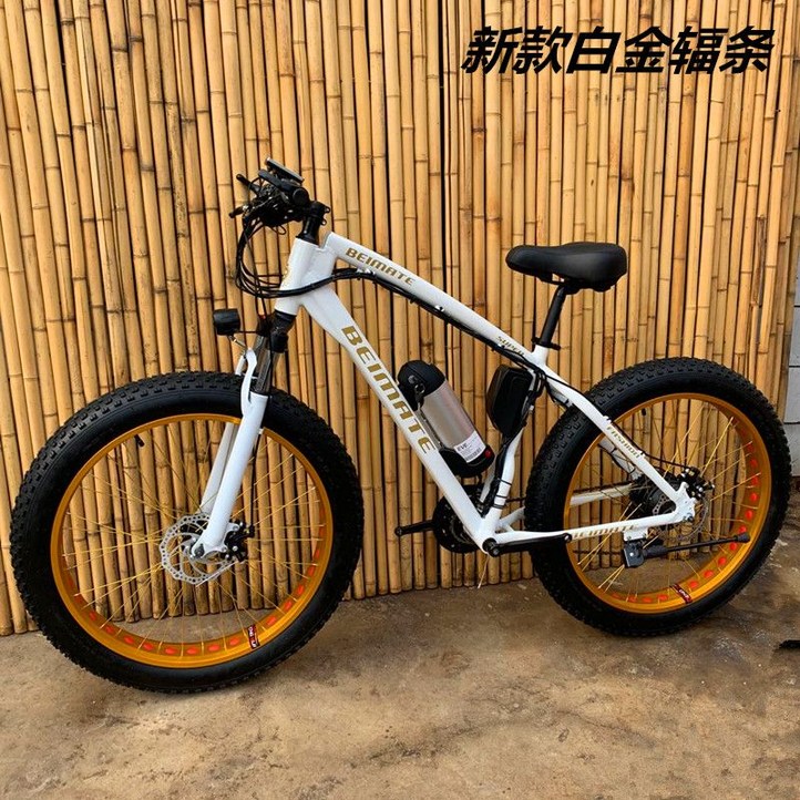 지트 전기자전거 리튬 전기  48V 500W 1000W 1500W