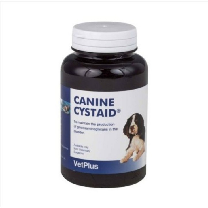 벳플러스 케나인 시스테이드 120캡슐 강아지 비뇨기계 영양제