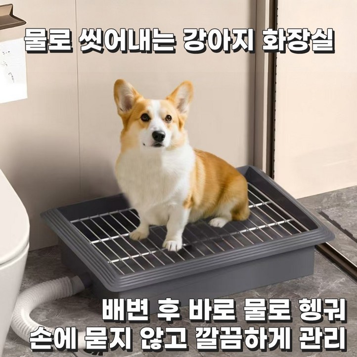 코코 강아지 배변판 반려견 화장실 배수형 물세척 가능 실내 배변훈련 소형견 중형견 배변판