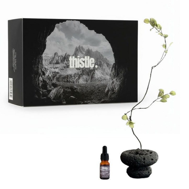 티슬 화분 스톤 디퓨저 화산석 아로마 오일 집들이 선물 세트 홈데코, 1개, 테싯이솝향