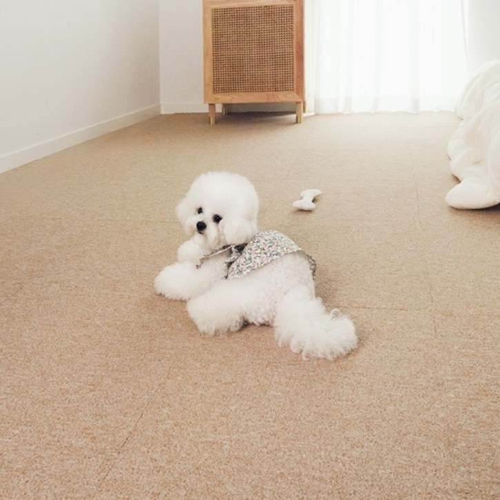 파미야 반려동물 셀프시공 카페트 매트