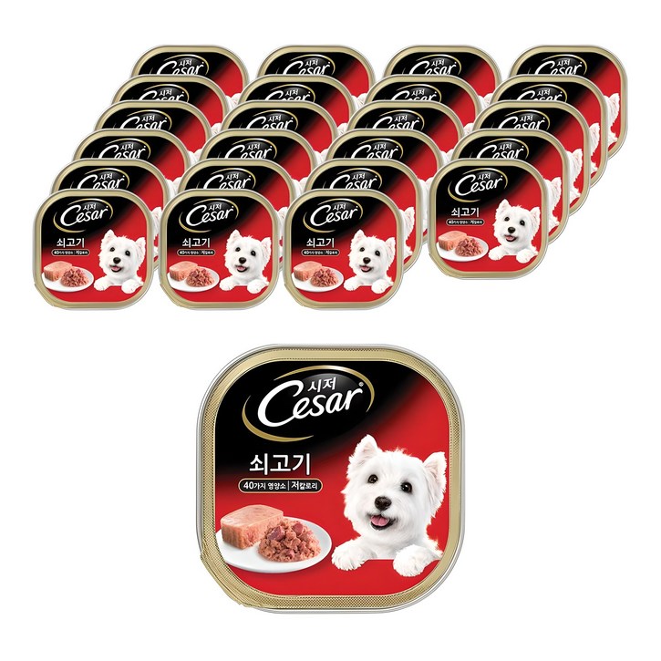 시저 1세 이상 강아지 주식캔