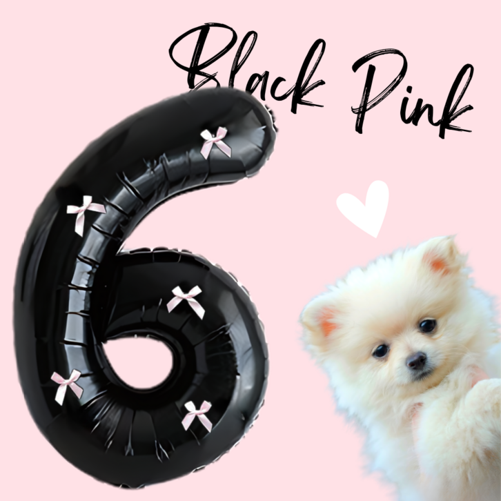 파티룰루 블랙핑크 숫자풍선 리본 대형 생일