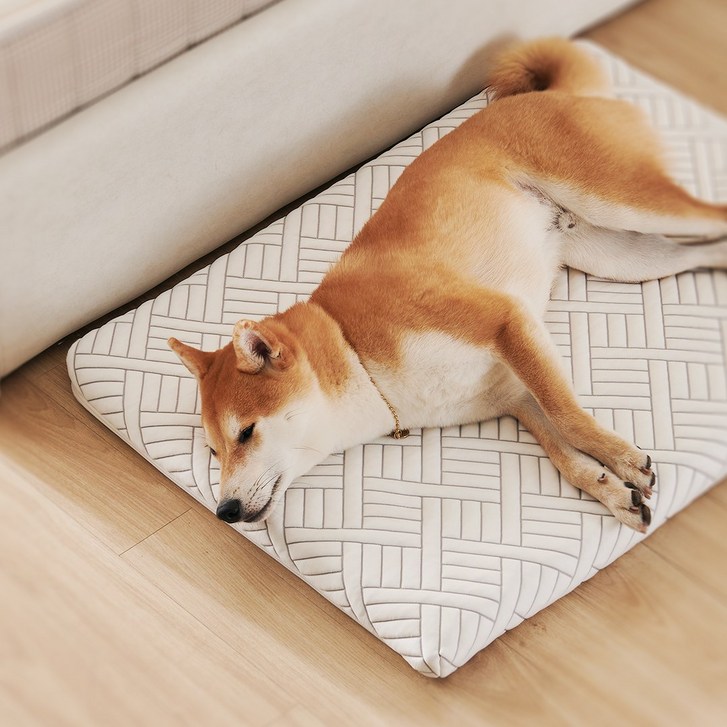 꽁떼떼 100 국내생산 메모리폼 강아지 매트리스 침대 애견 쿠션 ML