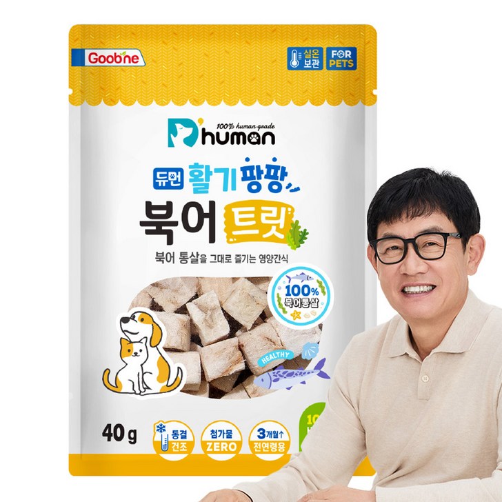 듀먼 반려동물 활기팡팡 트릿