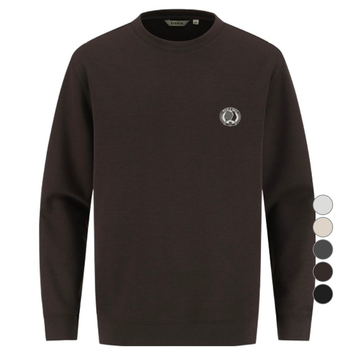 지오지아 남성용 더블니트 그래픽 맨투맨 AEF4TR1102